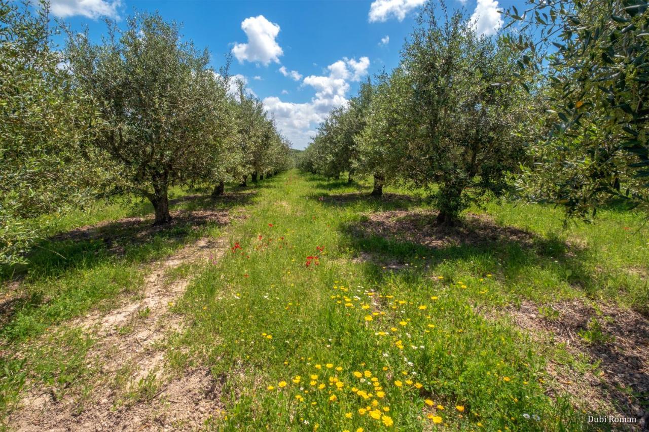 Вілла Amikam Meshek 81 משק 81 עמיקם Екстер'єр фото
