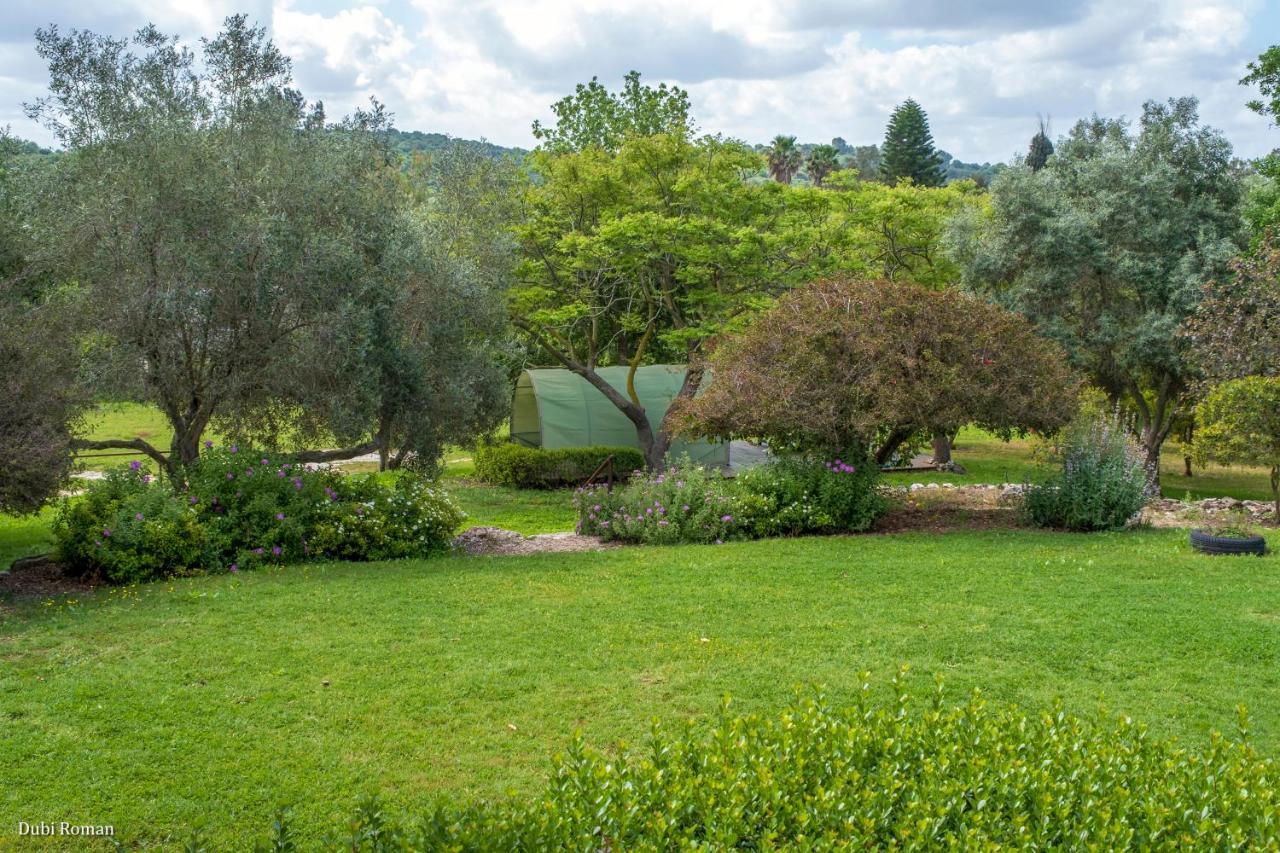 Вілла Amikam Meshek 81 משק 81 עמיקם Екстер'єр фото